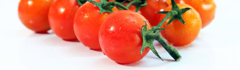 趣味十足的ddos接单平台